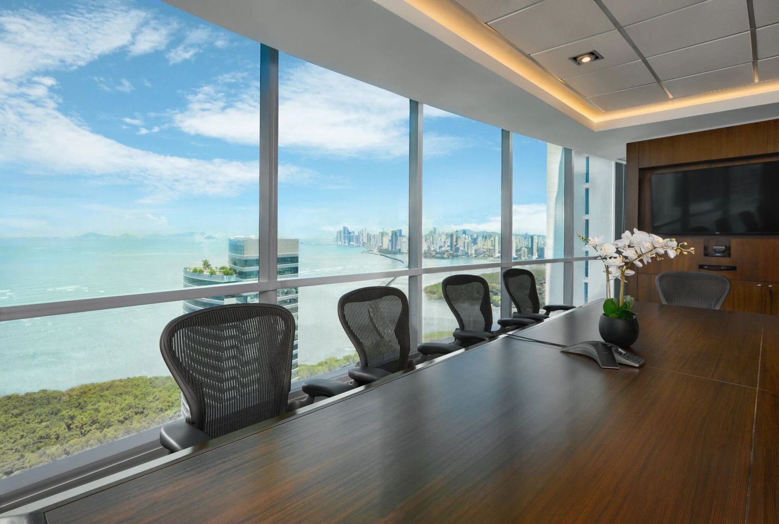 项目位置与城市天际线视野